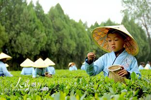 梦游！多特5中0仅拿4分3篮板 正负值-27